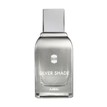 Load image into Gallery viewer, AJMAL SILVER SHADE EDP 100 ML
